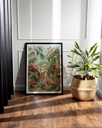 Ernst Haeckel illustration featuring a dense botanical jungle with vibrant green plants, mushrooms, and exotic foliage, showcasing intricate details and a lush natural scene.