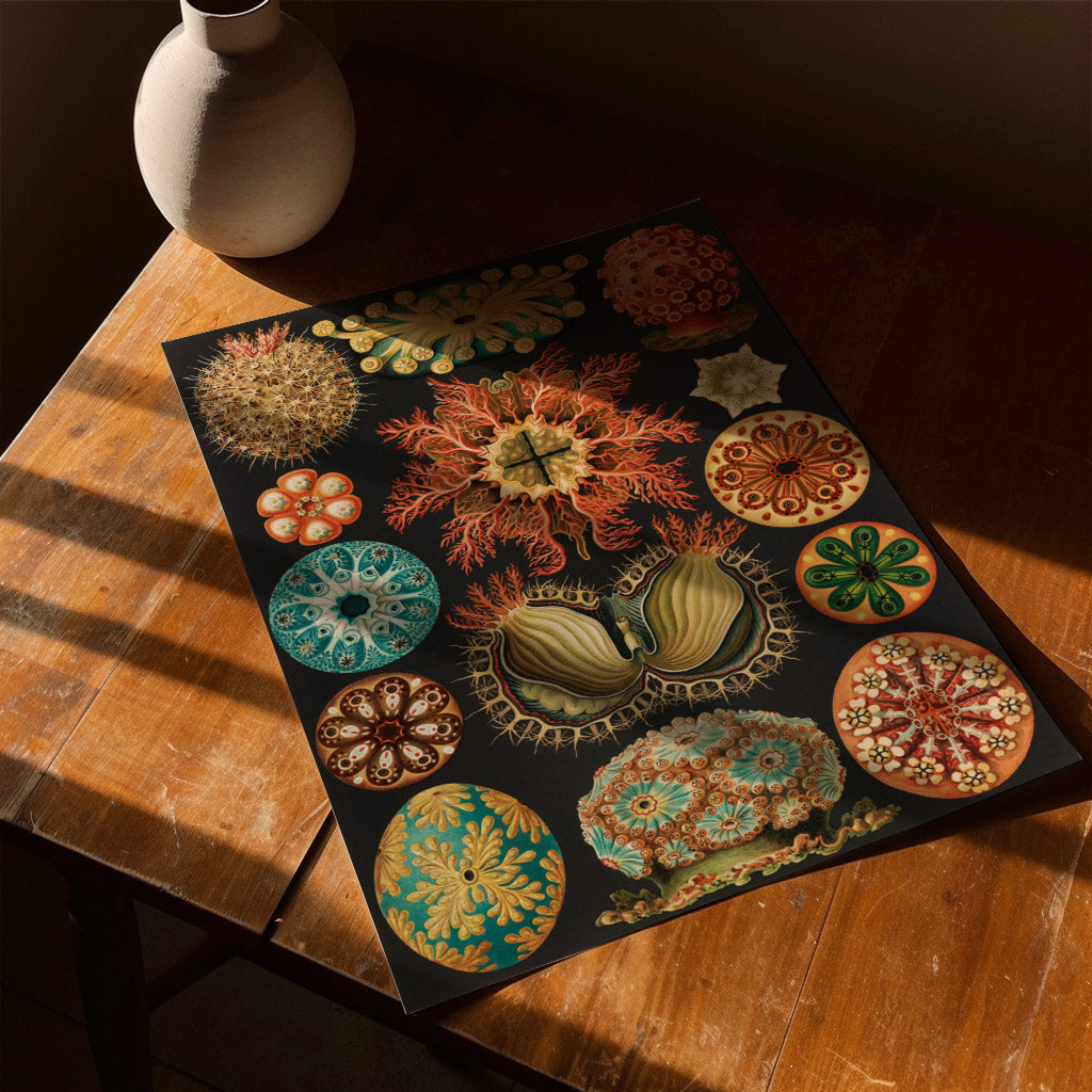 Ernst Haeckel illustration of colorful and intricate radiolaria, showcasing symmetrical marine organisms in vibrant hues and intricate detail, against a black background.