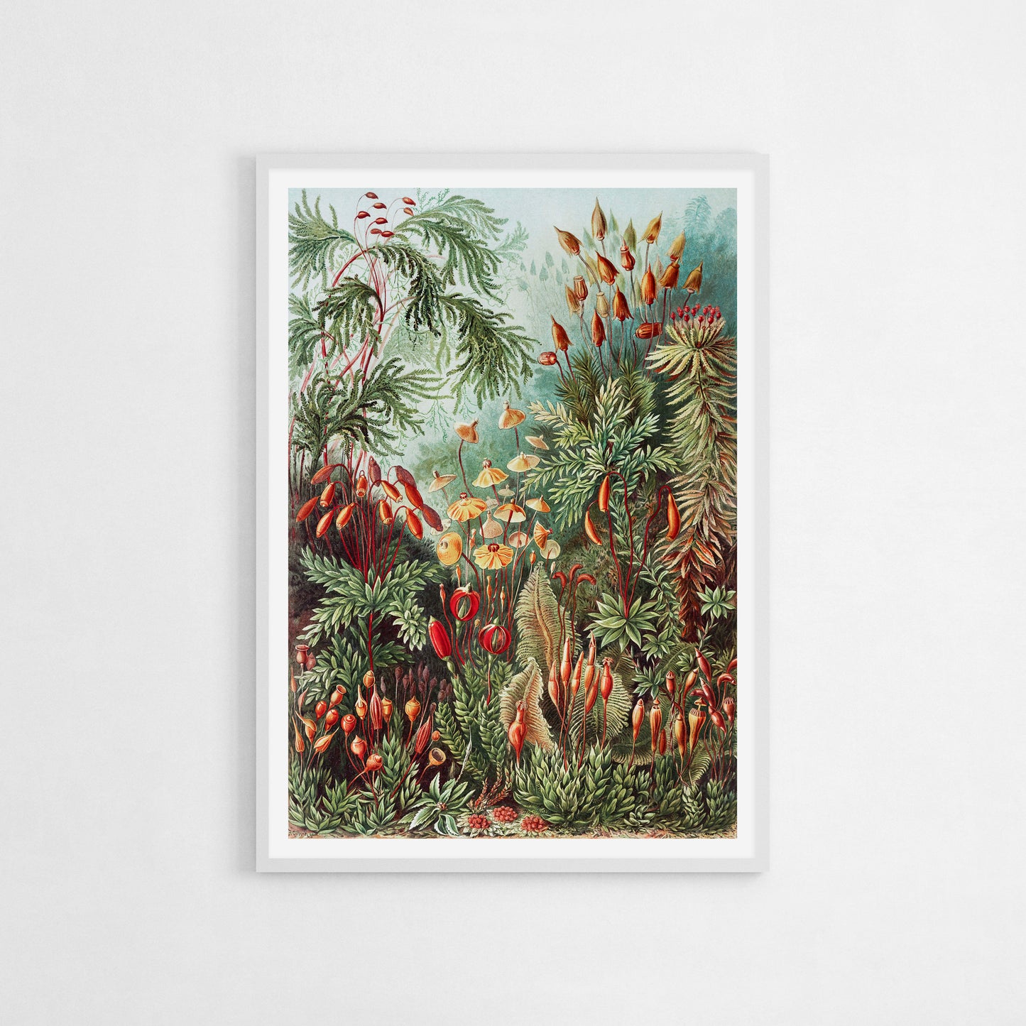 Ernst Haeckel illustration featuring a dense botanical jungle with vibrant green plants, mushrooms, and exotic foliage, showcasing intricate details and a lush natural scene.