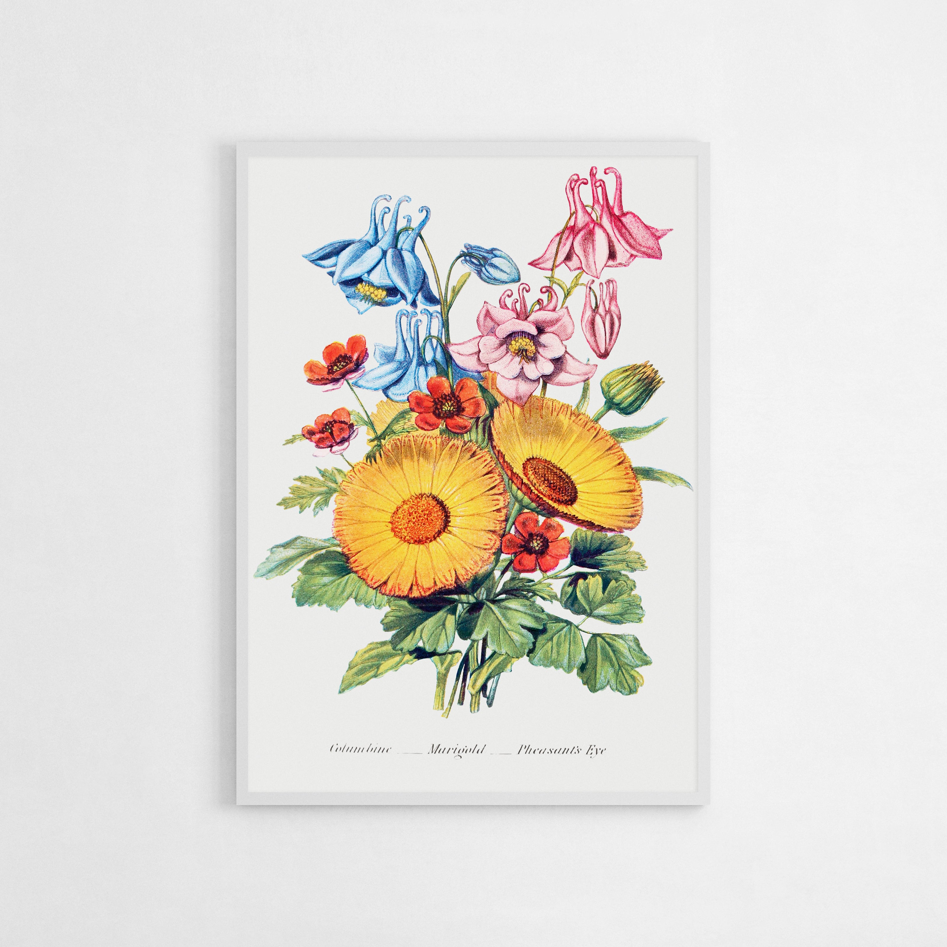 Vintage botanical print featuring a bouquet of columbine, marigold, and pheasant's eye flowers, showcasing vibrant colors and intricate detail.